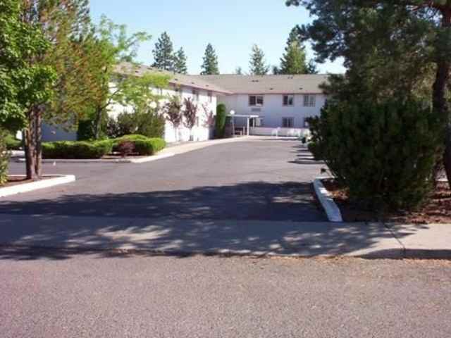 Hearthstone - Photo 3 of 3