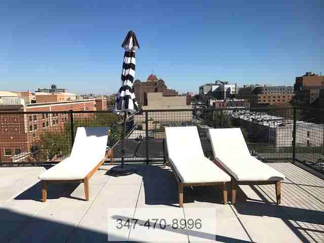 Elevator, Laundry, Gym, Roof Deck #3C