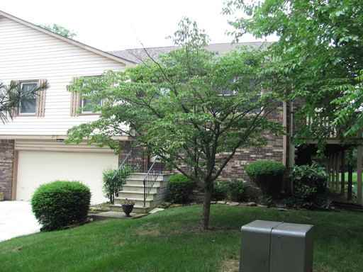 2519 Brewster Rd - Photo 2 of 7