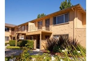 Orange Grove - Photo 3 of 8