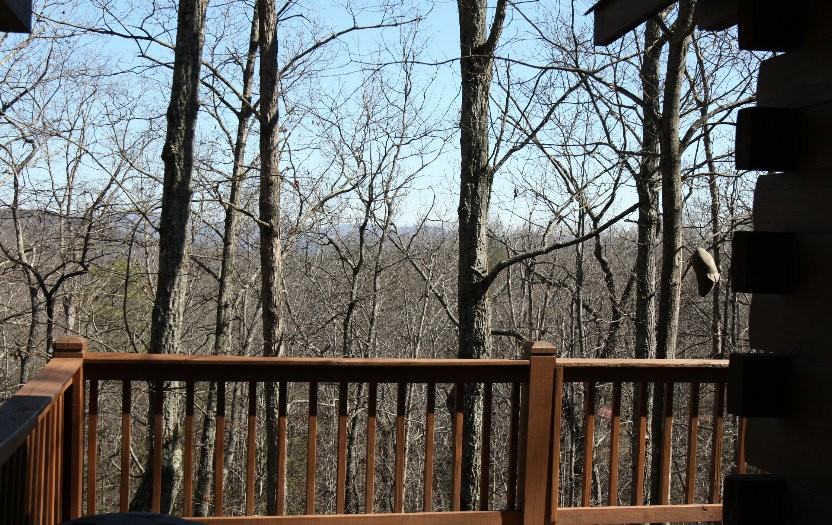 173 Mountain Laurel Ln - Photo 2 of 11