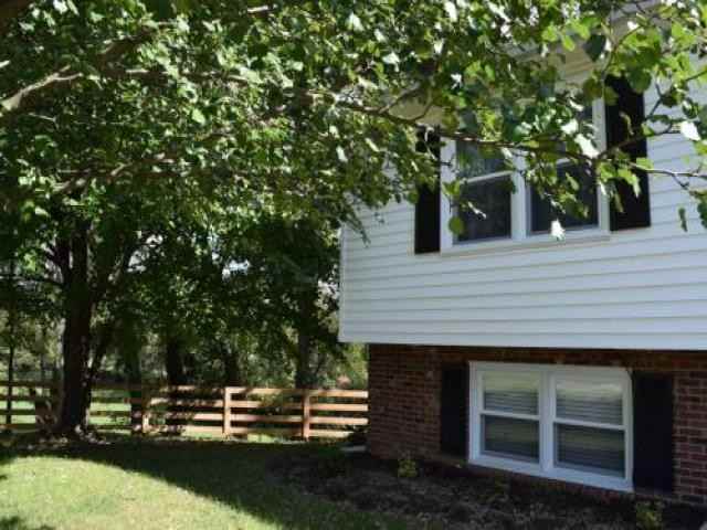 307 Spring Ct - Photo 3 of 6