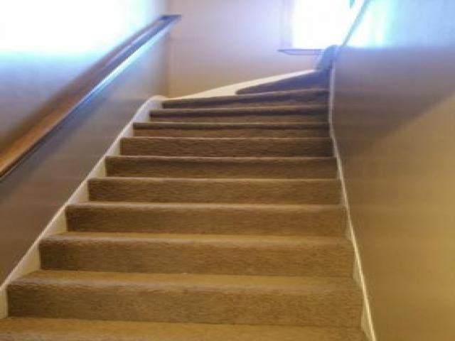 1603 S Warner St - Photo 2 of 6