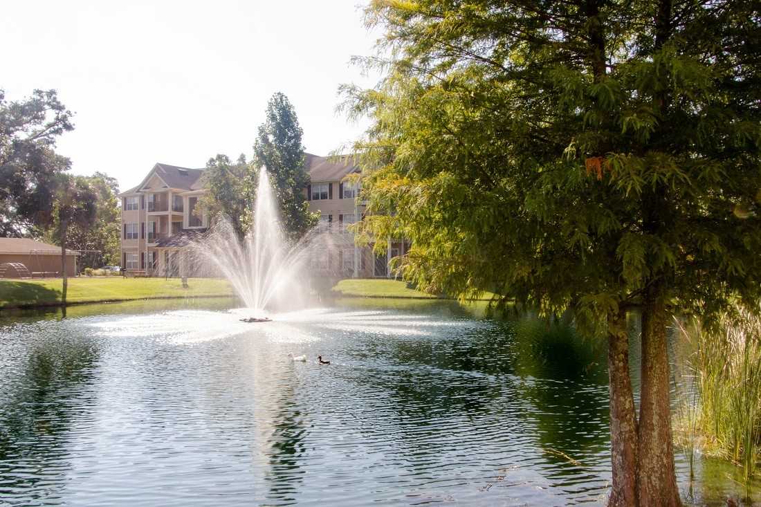 Village at Southern Oaks - Photo 4 of 25