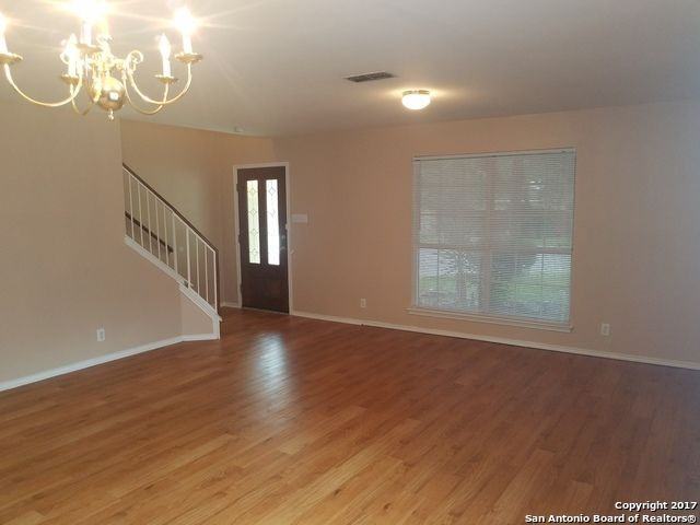 10607 Cat Mountain - Photo 3 of 15