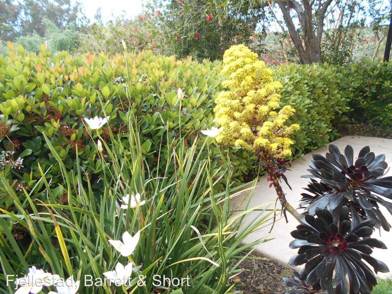 6967 Paseo Laredo - Photo 2 of 19