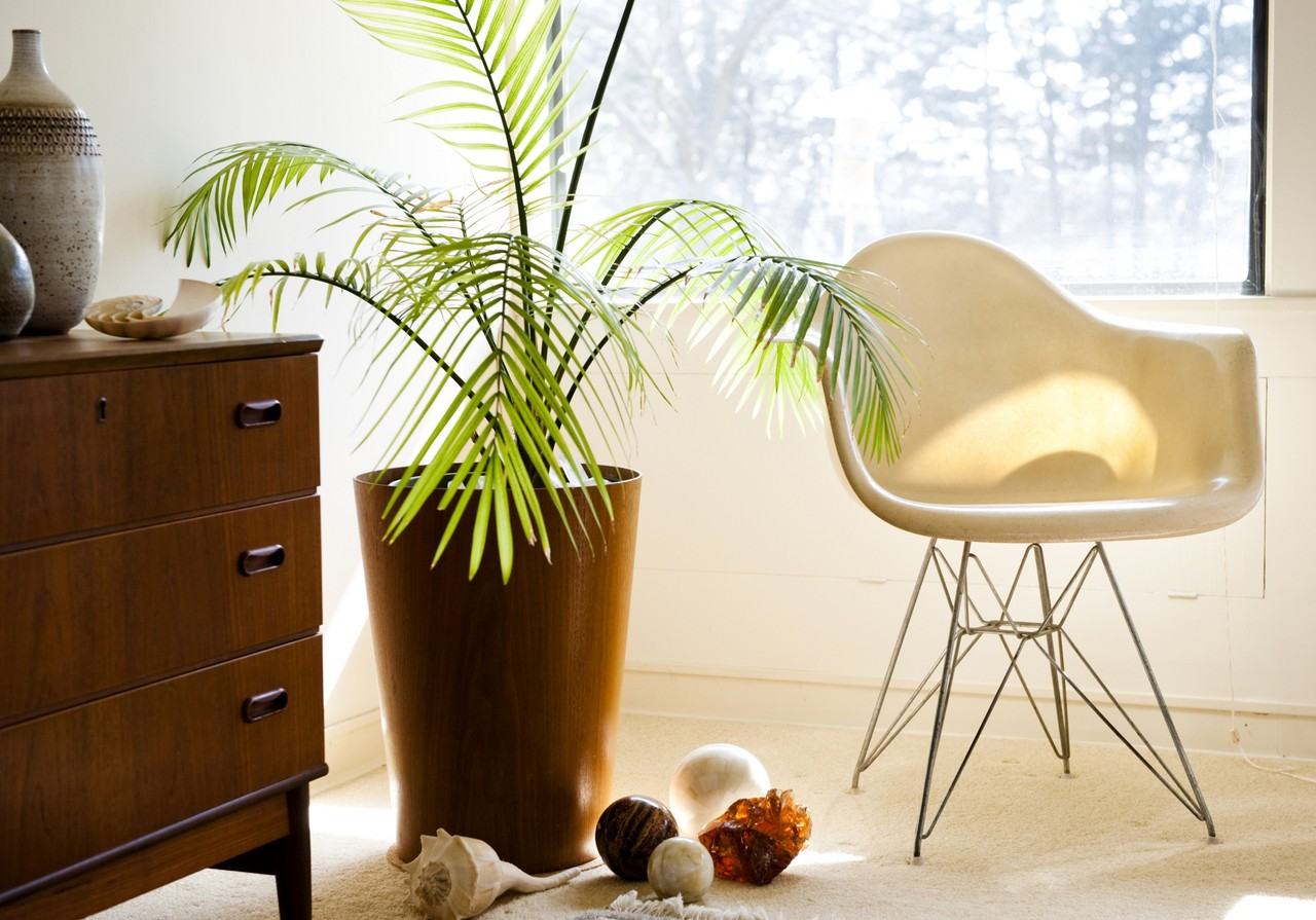 Skyline Park - Photo 3 of 6