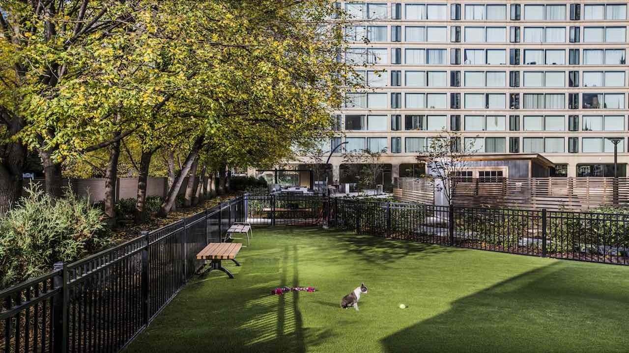 The View at Waterfront - Photo 3 of 12