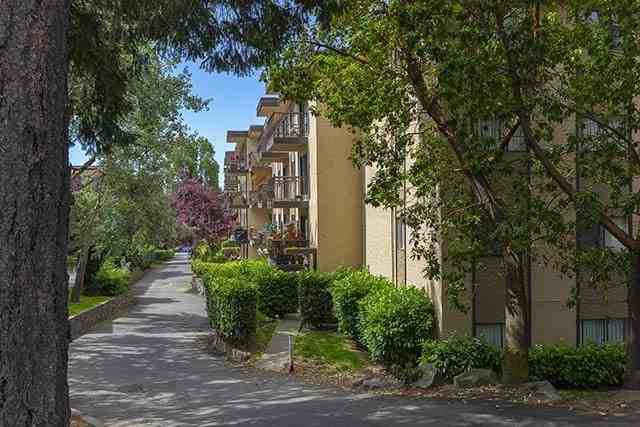 Apartments 215221,155,157 & amp; 243 Road East, Victoria