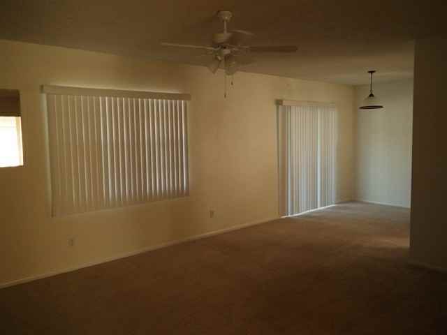 305 Regal Park Dr - Photo 2 of 10