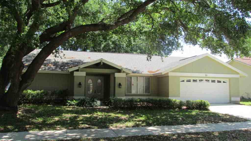 35 Osprey St - Photo 2 of 17