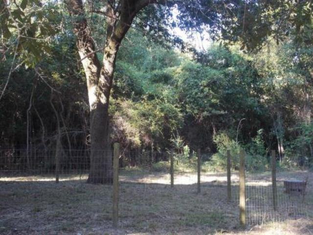 1060 Schoenfeld Rd - Photo 2 of 6