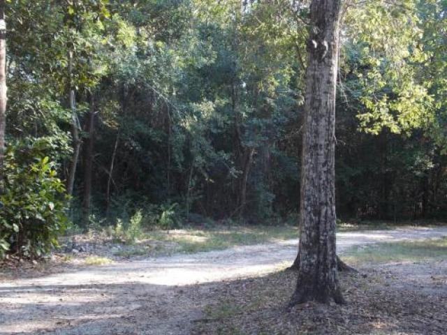 1060 Schoenfeld Rd - Photo 3 of 6