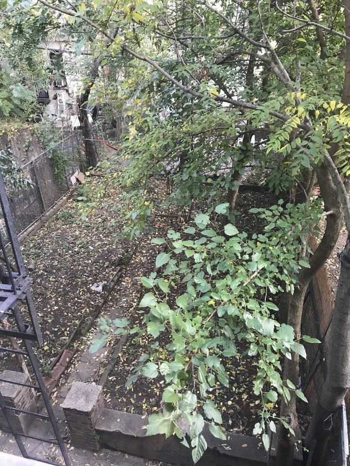 296 Stanhope Street #38SK