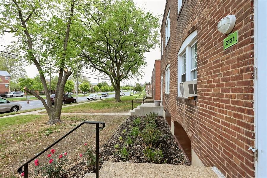 Pangea Springs - Photo 3 of 8