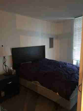 71 Winchester Street