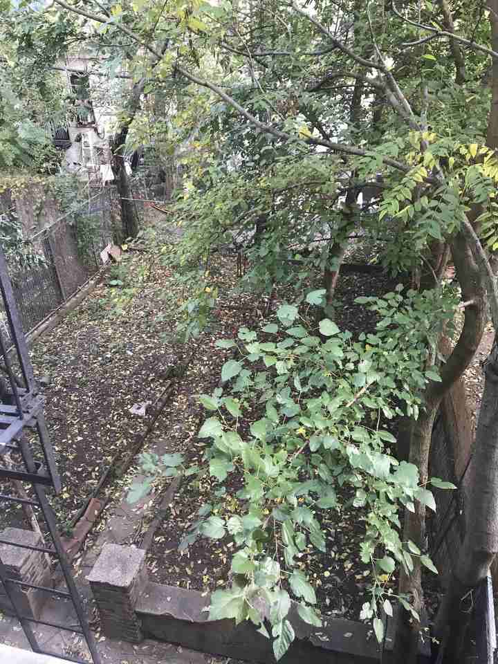 296 Stanhope Street #36LG