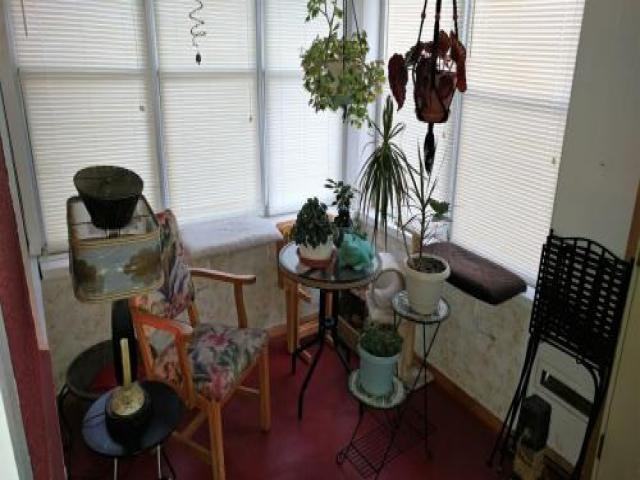 1616 Greene Ave NE - Photo 3 of 6