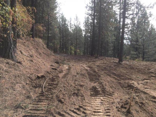 1224 Lowell St - Photo 3 of 11