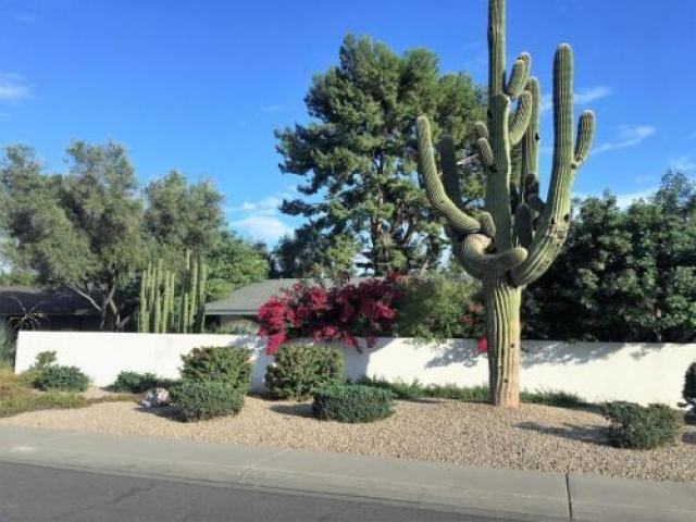 511 W Tam Oshanter Dr - Photo 3 of 4