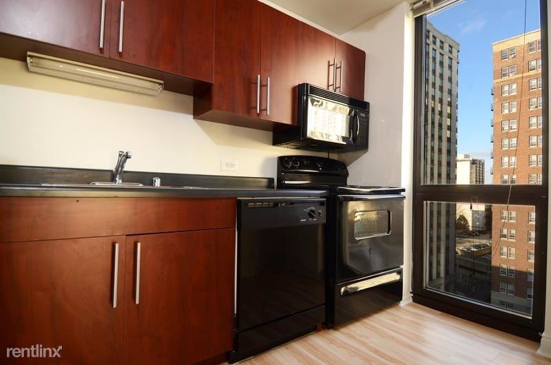 1000 N La Salle Dr - Photo 2 of 4