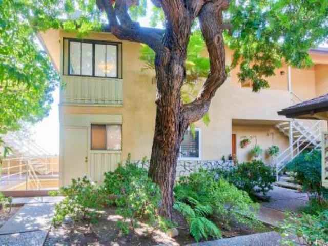 385 Cliff Dr - Photo 3 of 7