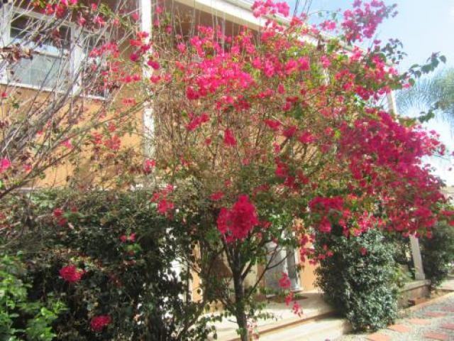 12315 Washington Pl - Photo 3 of 6