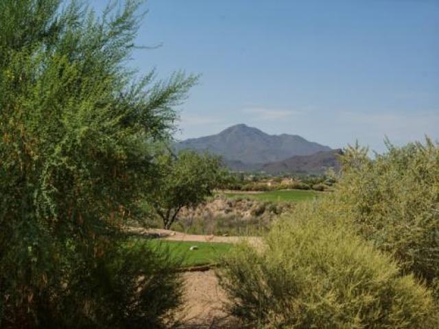 8481 N Mountain Stone Pine Way - Photo 2 of 6