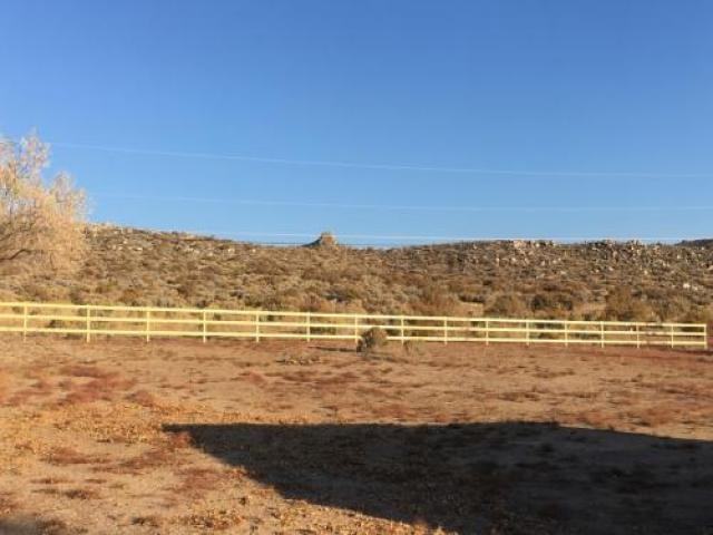 1468 Eunice Way - Photo 2 of 2