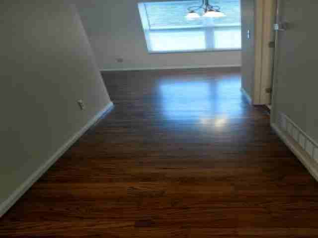 1119 Hoover Lake Ct - Photo 3 of 6