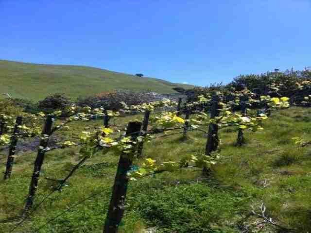 47753 Avalon Heights Terrace - Photo 3 of 6