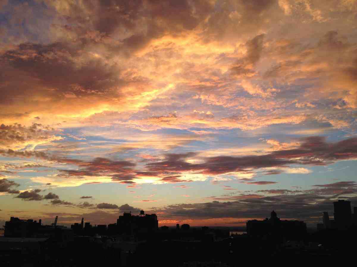 106 Court Street - Photo 3 of 18