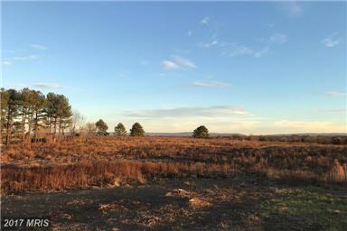 5317 Senseny Rd - Photo 2 of 18