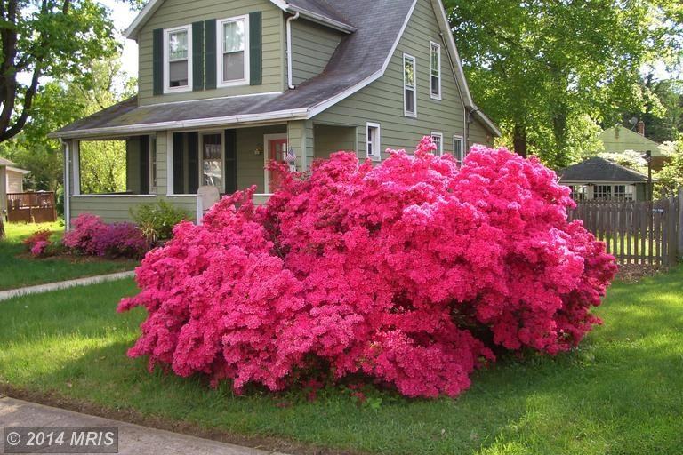 6500 Brook Ave - Photo 2 of 26