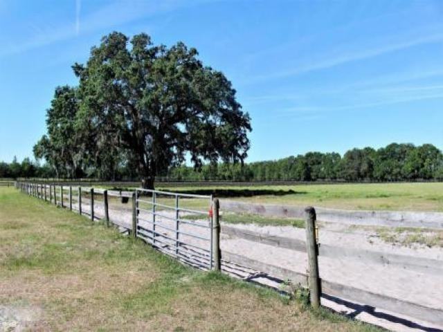 553 NE 205 Ave - Photo 2 of 6