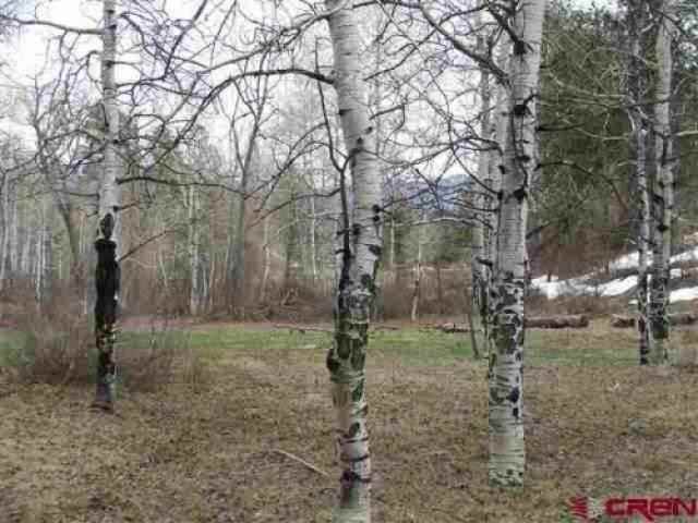 1695 Sonlight Pl - Photo 2 of 6