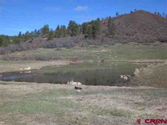 1695 Sonlight Pl - Photo 3 of 6