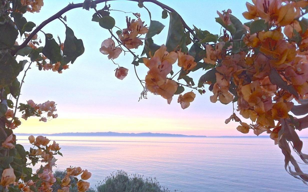 3405 Sea Ledge Ln - Photo 3 of 14