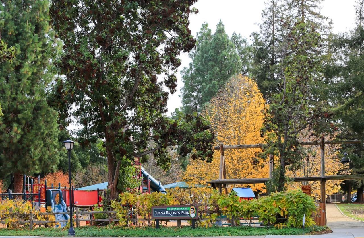 621 Georgia Ave - Photo 2 of 34