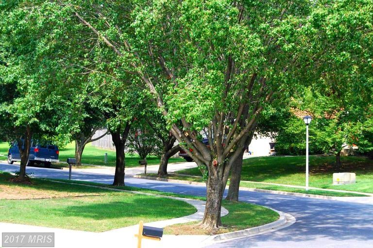 2102 Crepe Ct - Photo 3 of 25