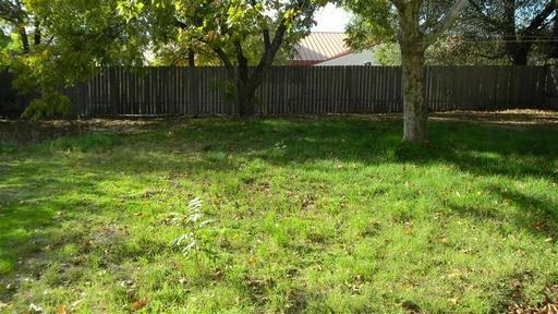 2892 Larkspur Ln - Photo 3 of 16