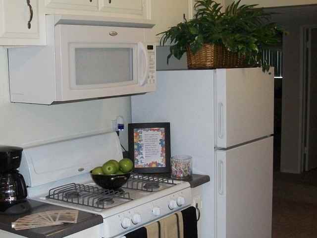 Pacific Gardens - Photo 3 of 36