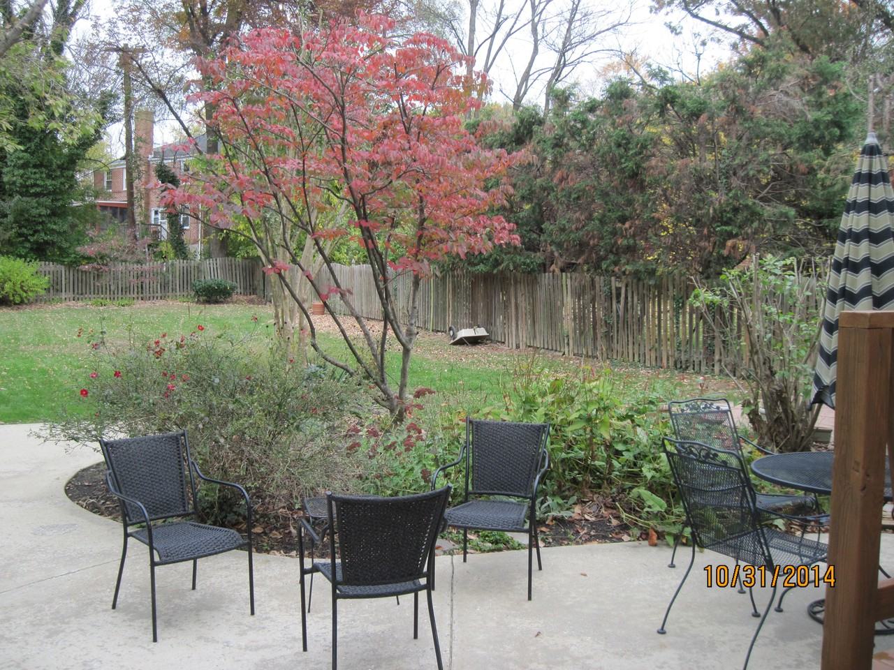 340 Rosebank Avenue - Photo 3 of 9