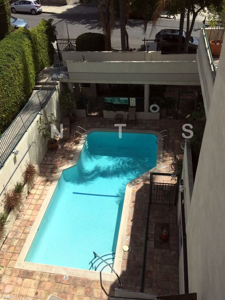 939 Palm Ave - Photo 2 of 19