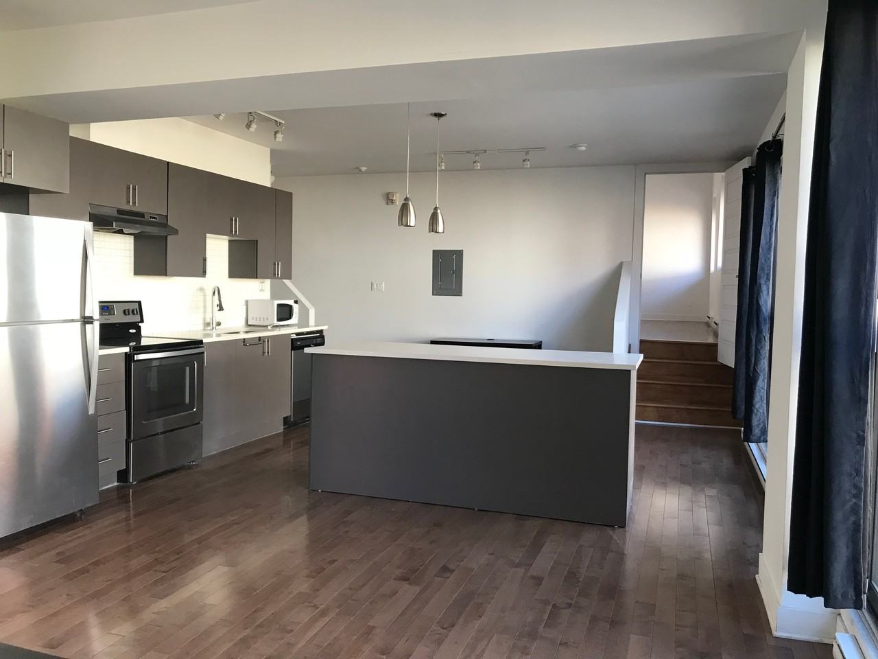 808 Rue Beaubien Est #B - Photo 3 of 9