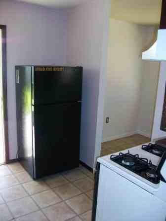 532 Eucalyptus St - Photo 3 of 16