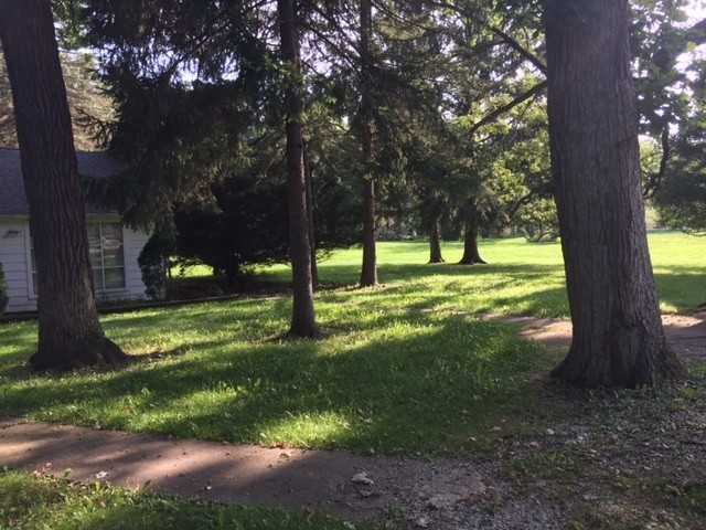 195 W Miller Rd - Photo 3 of 19