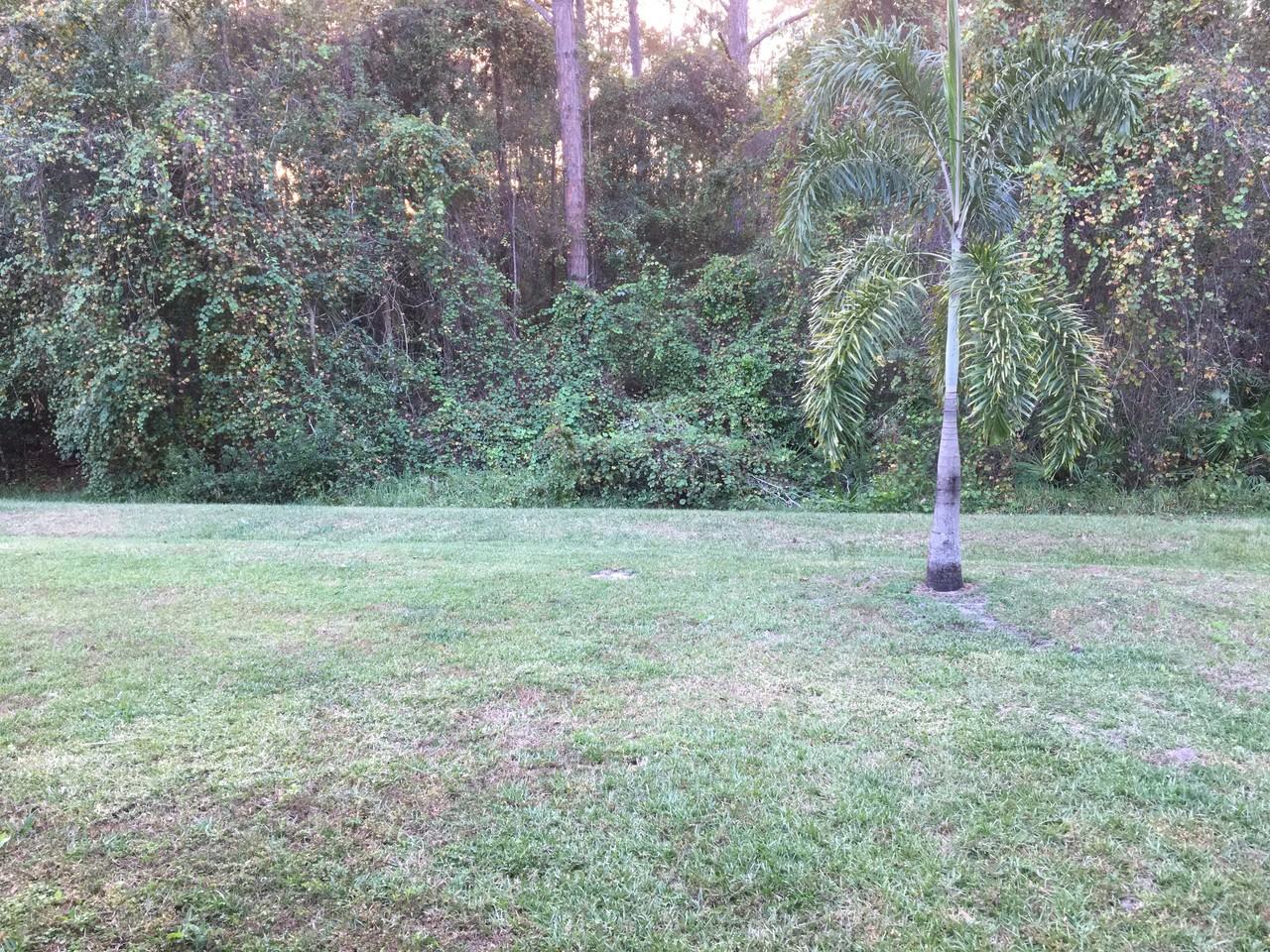 12715 White Bluff Rd - Photo 2 of 8