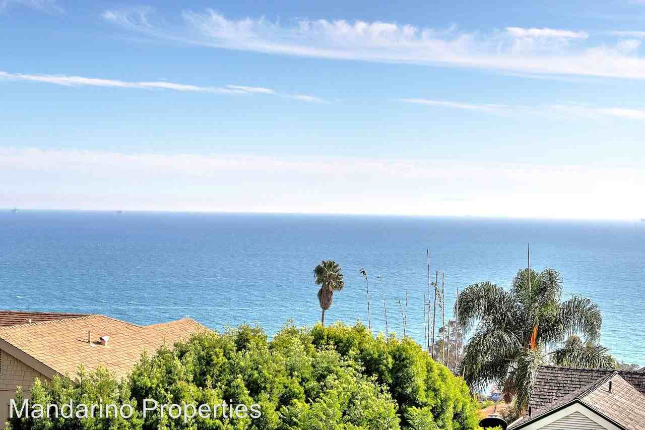 2535 Whitney Ave - Photo 2 of 32