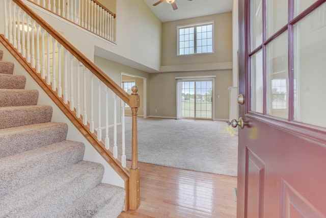 12 Parsley - Photo 3 of 33